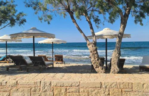 Zoi's SeaView House - Photo 18