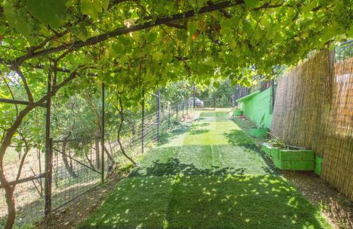 Frasta's Rose - Foto 23