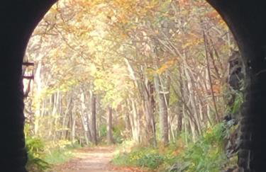 Bespoke Luxury Self Catering Dog Friendly Accommodation - Foto 43