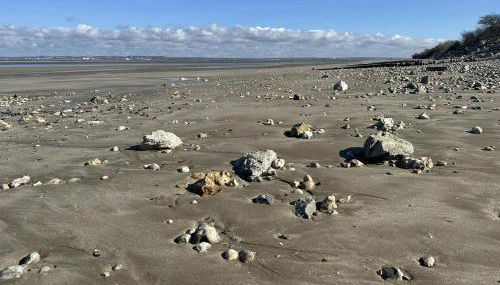 La Cabane du Pêcheur - Foto 4
