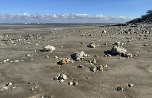 La Cabane du Pêcheur - Foto 4
