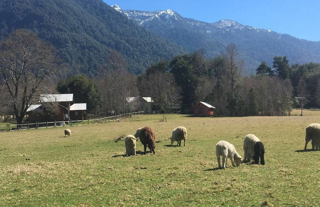 Cabana 4 Personas En Hermoso Paisaje En Pucon - Foto 36