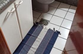 Perfeita Localização 2Q-2B estacionamento gratuito - Foto 27