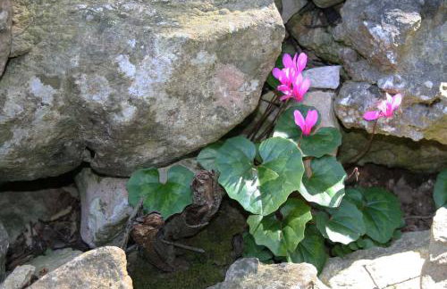 Casa Mattea - Foto 44