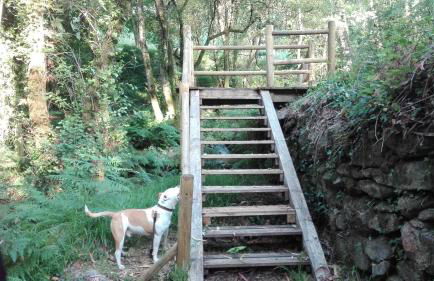 Casa da fonte - Foto 20