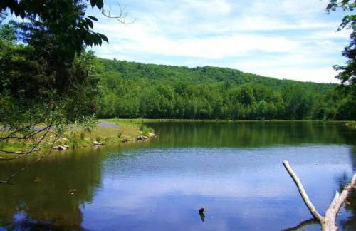 Serenity Falls - Stylish 4Bdr Mountain Retreat, Hot Tub, Pool - Foto 60