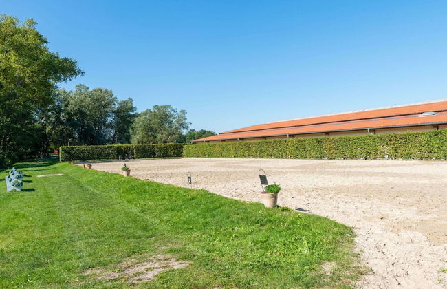 Ferienhaus in Eschede - Foto 26