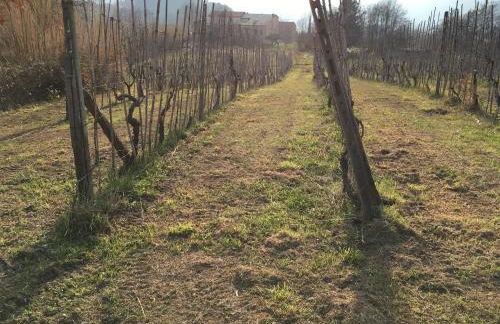 Appartamenti Borgo San Pietro - Foto 43