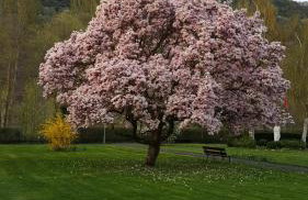 Ferienhaus Emil - Foto 34