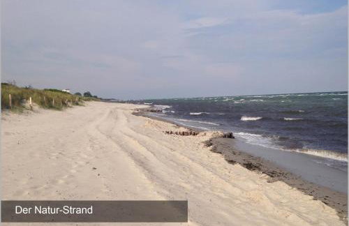 Küstenbude Strandmuschel - Foto 38