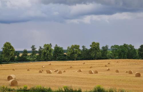 Domek w polu - Foto 31