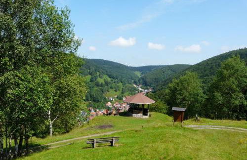 Holiday home in Gießübel with Wi-Fi - Foto 20