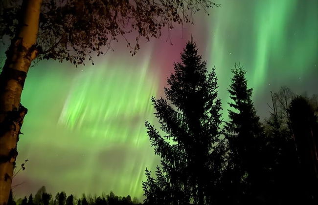 Arctic Resort Delight - Foto 29