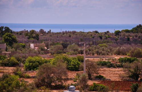 Casa Margherita - typical salento house - Foto 34