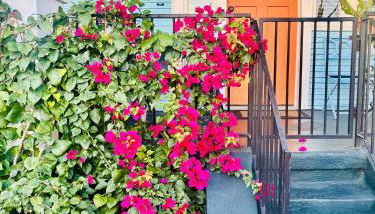 Charming Creole Cottage near French Quarter - Foto 4