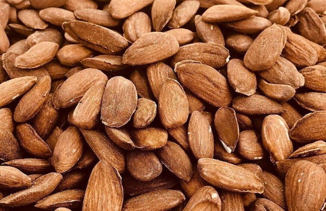 Palamut Ev - Photo 27