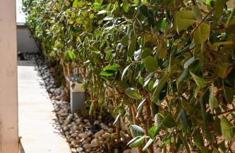 Casa Azul - Social Apartment - parcheggio, clima, 200mt dal mare - Foto 18