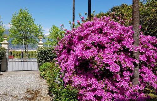 Vista Lago - Foto 28