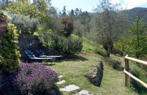 Villanova - Nature & Wellness - Foto 136