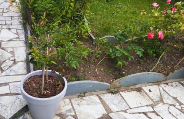 Nice apartment 1 hour from Paris and 45 minutes from Orléans - Photo 58