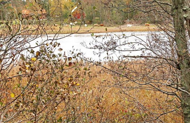 4 Star Holiday Home in Laholm-by Traum - Foto 23