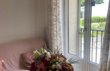 Iago city,appartement spacieux 2 chambres, hyper centre, aéroport et gare à proximité - Foto 26