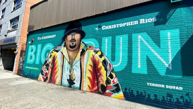 Visita guiada por el Bronx - Foto 2