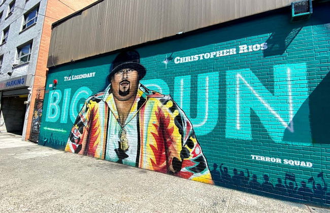 Visita guiada por el Bronx - Foto 2