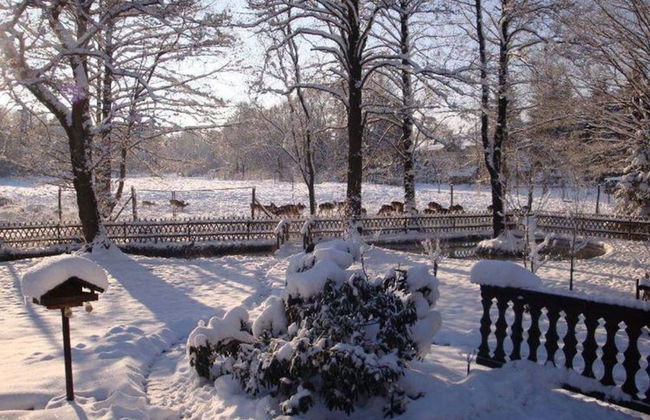 Holiday Home in Saxony With Private Terrace - Foto 11