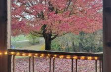 LI Airbnb - NWA mt bike, hike, and golf retreat - Foto 80