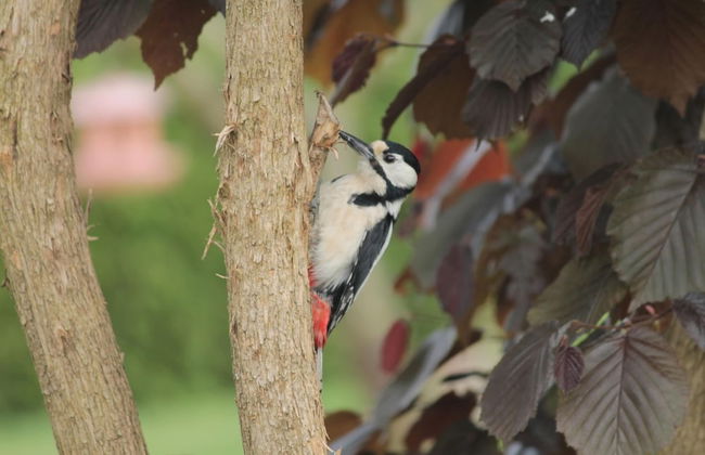 Delightful Apartment in Bastorf With Terrace - Photo 12