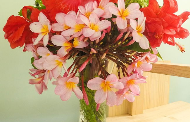 Aore Breeze - Photo 13