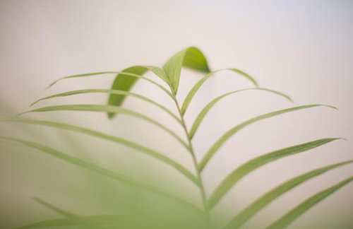 Apartments Frenkie - Photo 21