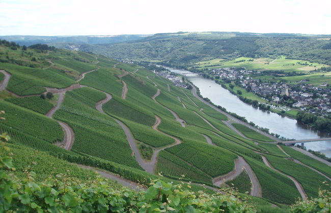 Vineyard View Romantic Stay - Foto 19