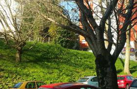 Ria de Vigo hasta 8 huespedes - Foto 56