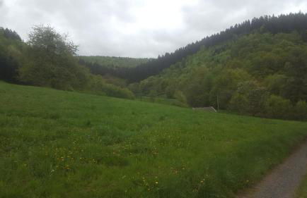 Urlaub auf dem Bauernhof - Foto 29