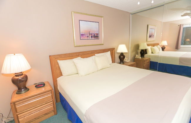 The Grey Gull - Foto 70