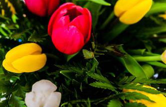 Quercia Belvedere Relais - Foto 118