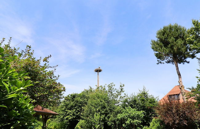 Buschenhagen Rustic Getaway - Photo 35