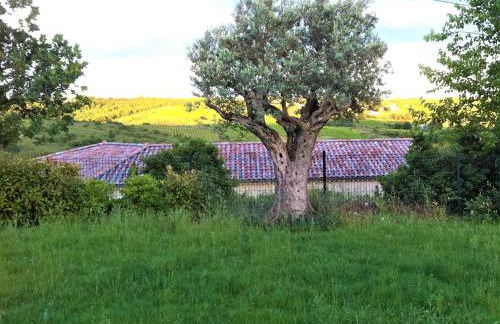 Villa Moderne à Vagnas: Piscine Chauffée, 6 Pers, Proche Vallon Pont d’Arc - FR-1-382-176 - Foto 15