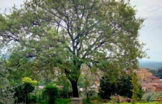 Il colle dei Frati - Foto 22