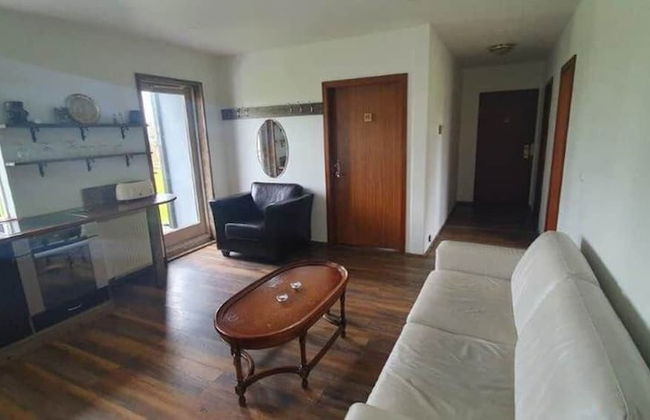 Borealis Lodges - Foto 23