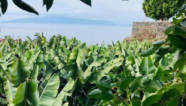 Casa Patio FincaEcoAmaro - Foto 3