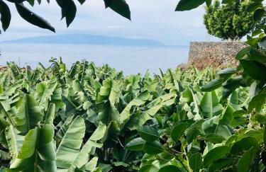 Casa Patio FincaEcoAmaro - Foto 3