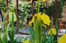 Viento de Ladera Casa Rural con piscina cubierta - Foto 16