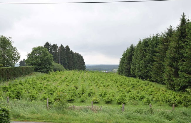 Comfort Stay in Carlsbourg - Photo 35