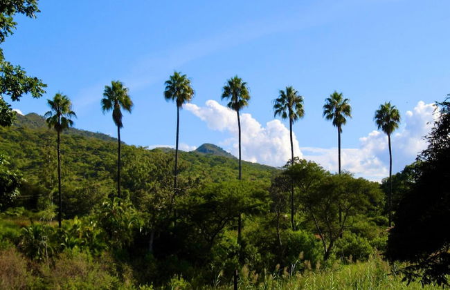 2 Bedroomed House With a Lovely Garden - 2177 - Foto 16