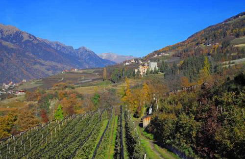 Schwarzplatterhof - Foto 41