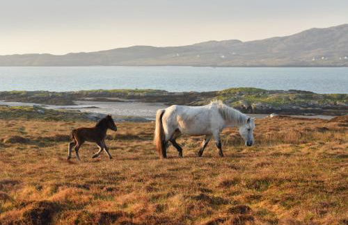 Beachcombers - Foto 32