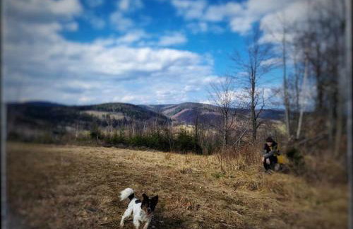 Czereśniowy Dom - Foto 34